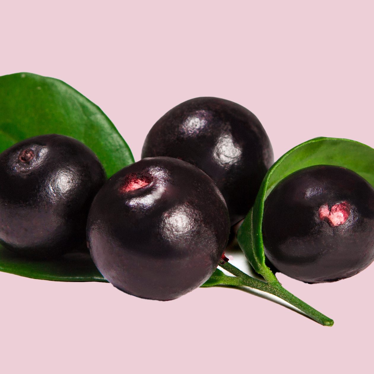 Acai Berry copy