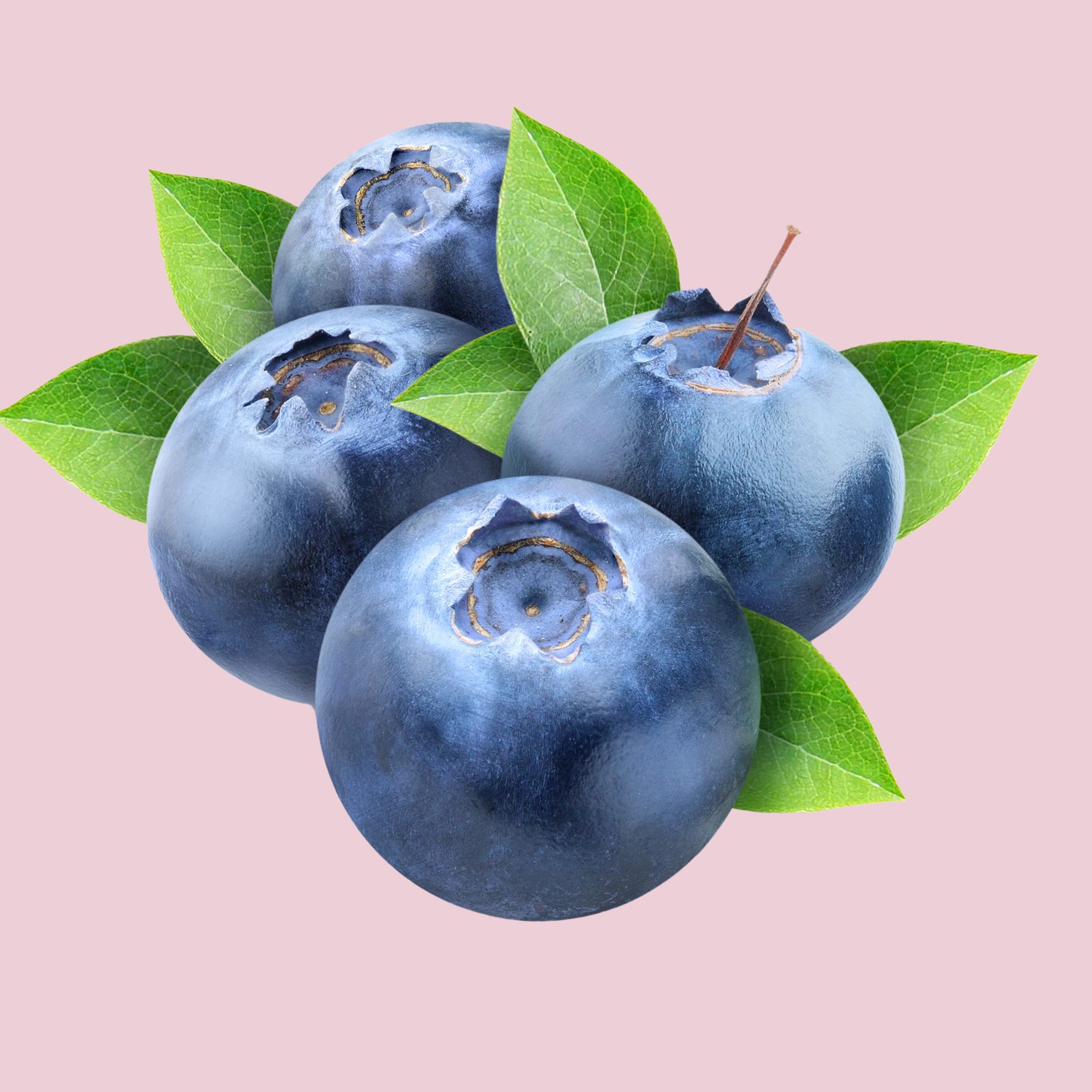 Blueberry copy