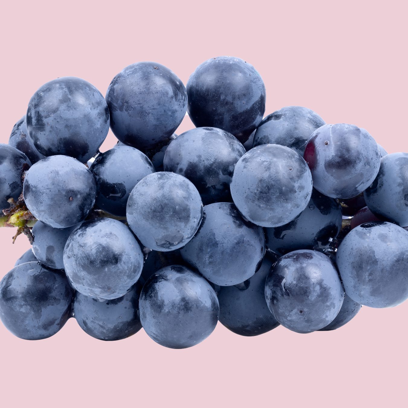 blue grape  isolated on white background