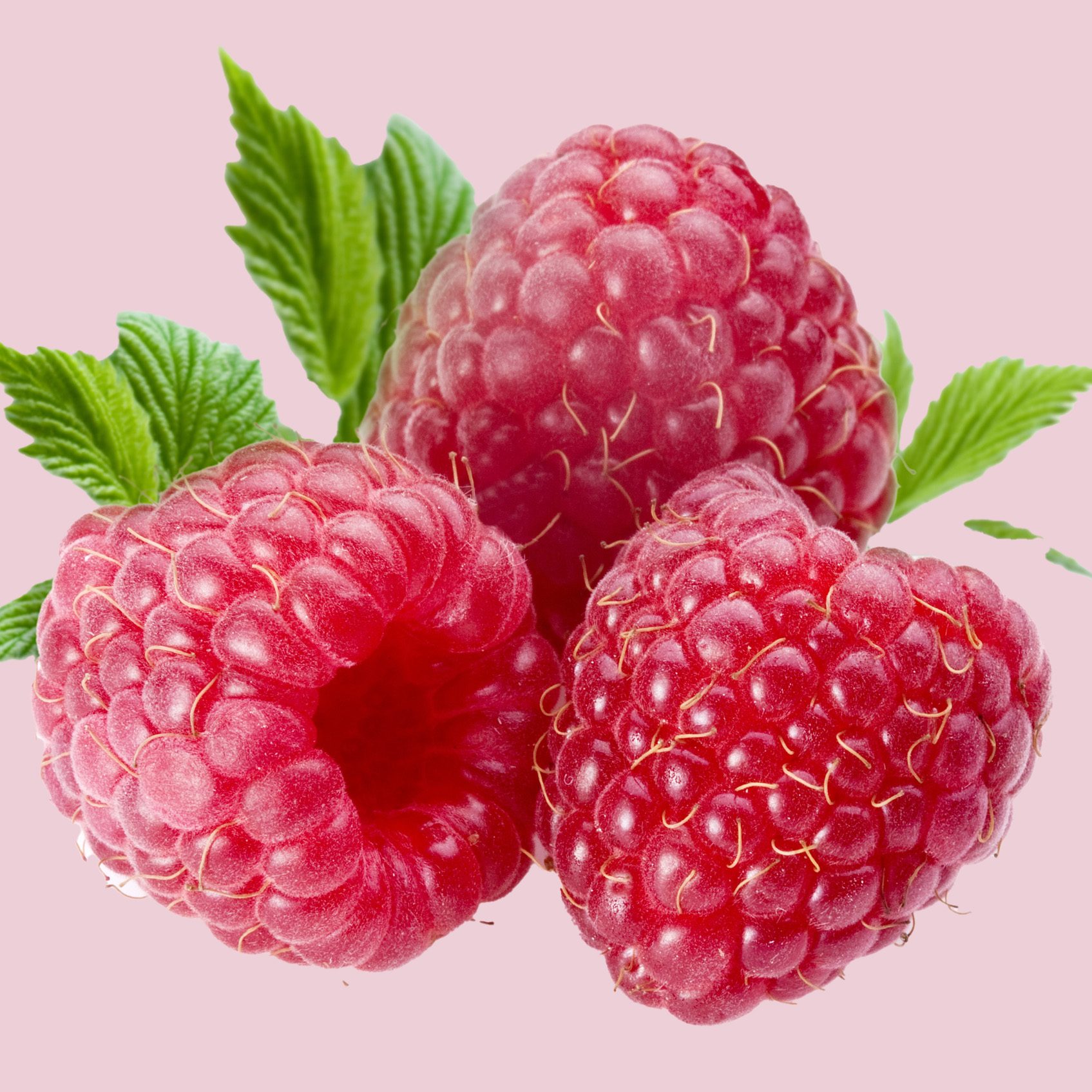 Raspberry copy